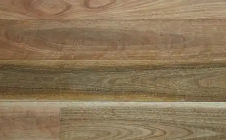 NSW Spotted Gum